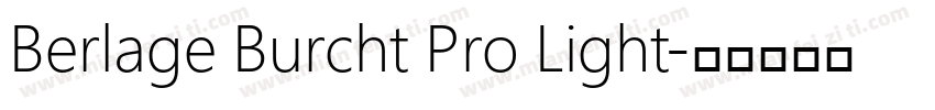 Berlage Burcht Pro Light字体转换